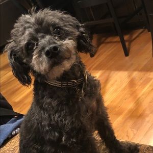 Meet your Posher, Valerie